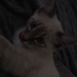 Meet your Posher, Hailey